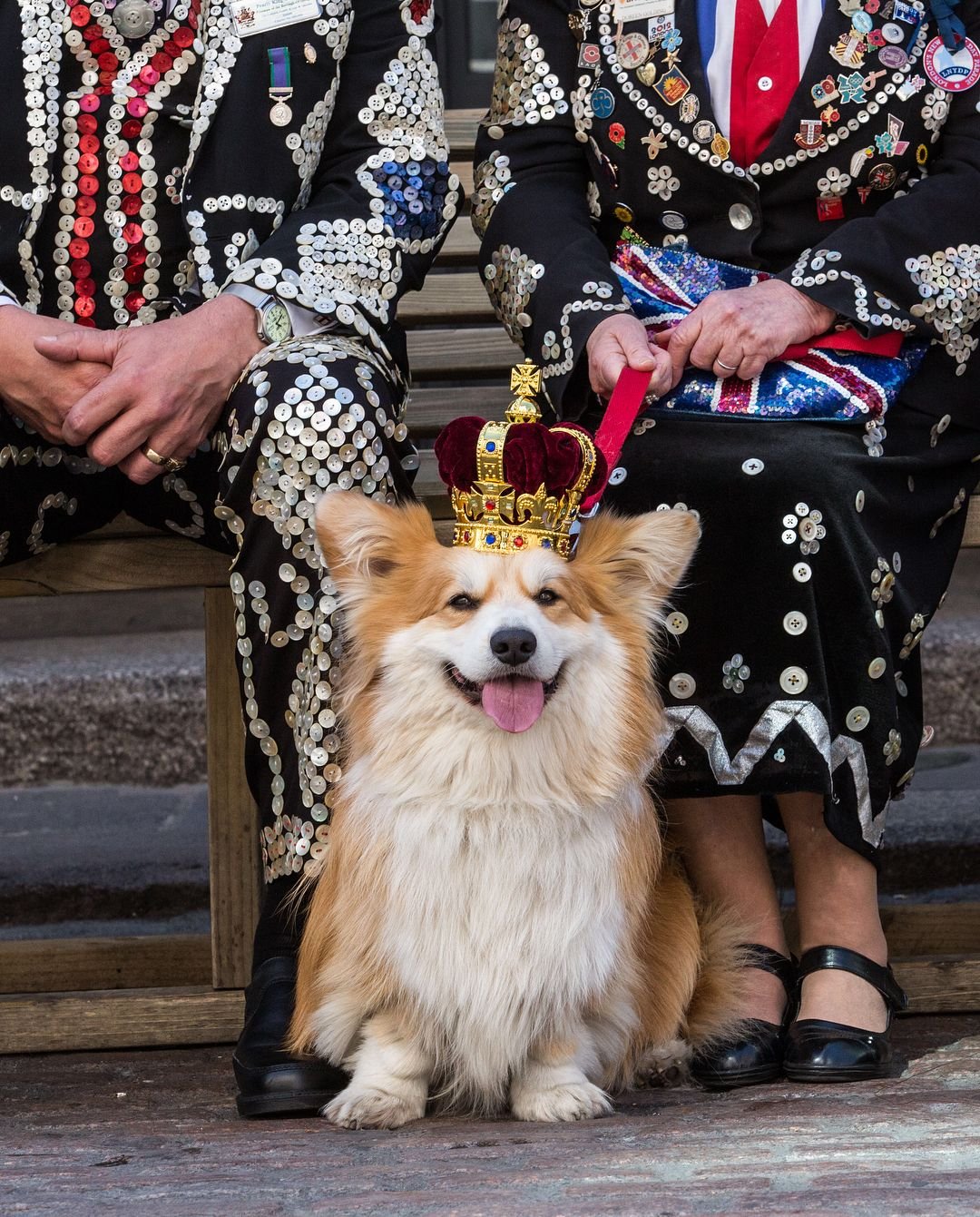 От корги до дворняжек: названы любимые породы собак королевских семейств