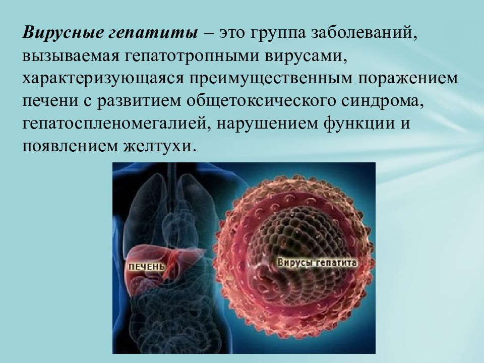 Вирусный гепатит м