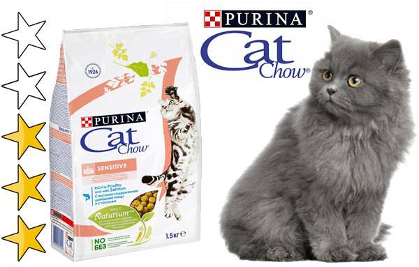 Обзор корма для кошек кэт чау (cat chow): виды, состав, отзывы