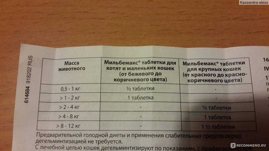 Как применять мильбемакс для кошек: состав препарата, назначение и инструкция по применению, отзывы
