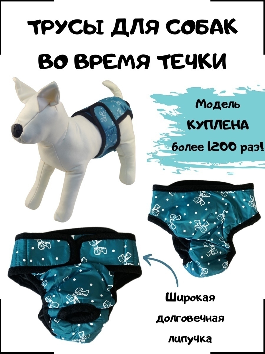 Гигиенические трусы для собаки во время течки – 12-obezyan