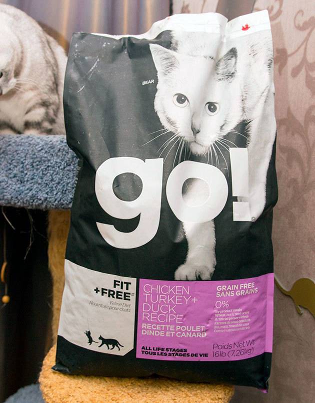 Обзор корма для кошек go (гоу): виды, состав, отзывы