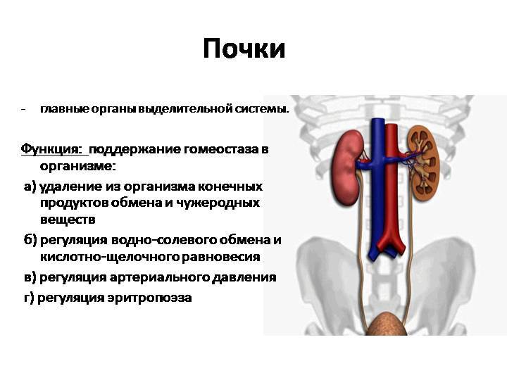 Перегревание организма