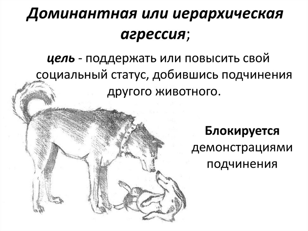 386222 коллег ждут вас на мирврача.