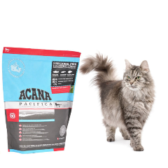 Сухой корм для кошек: отзывы, рекомендации, обзор популярных марок