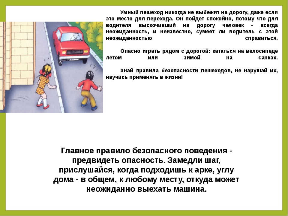 Приметы о черной кошке: что значит, когда животное перебегает дорогу
