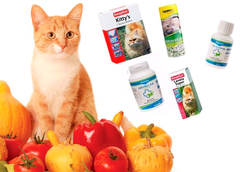 Какие витамины нужны кошке? | блог на vetspravka.ru