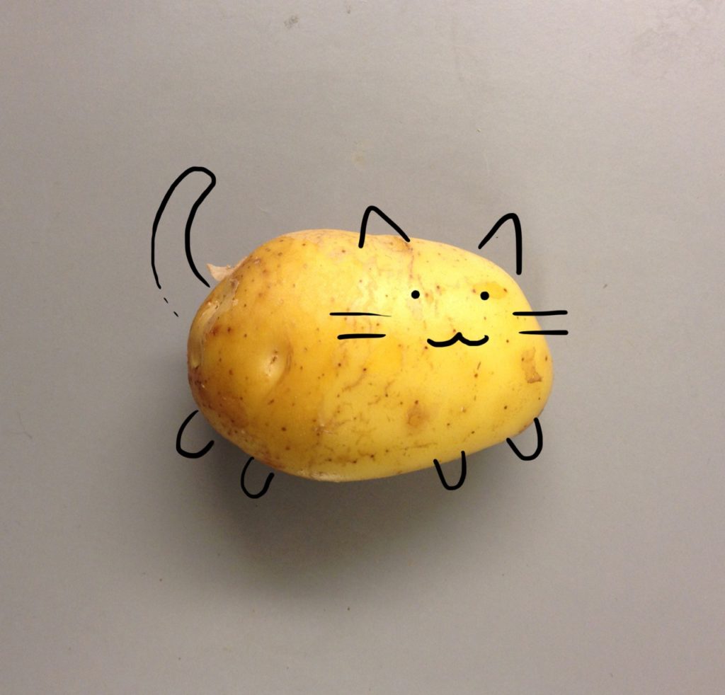 кошка картошка фото