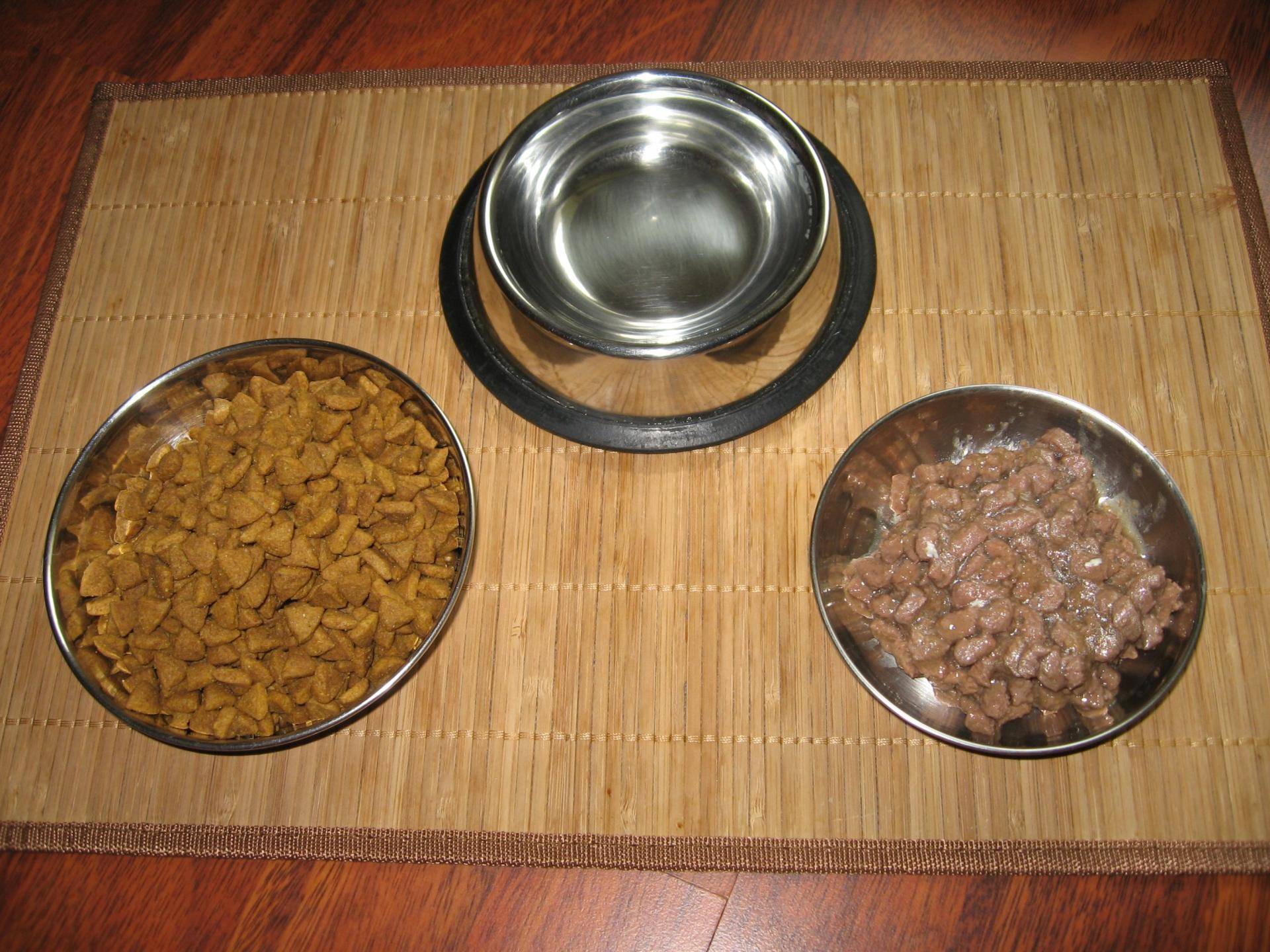 Можно ли смешивать сухой и влажный корм. Натуральное питание для котов миска. Размоченный сухой корм. Миски с кормом натуралка. Натуралка для собак в миске.