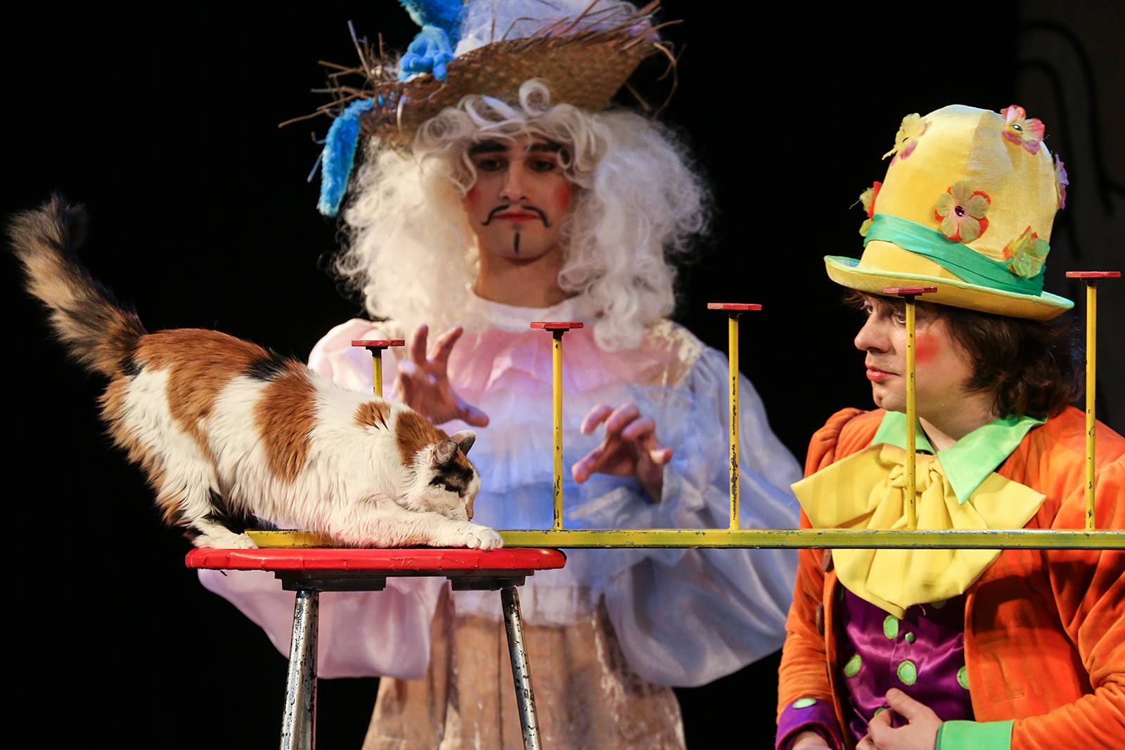 Юрий Куклачев и его кошки: видео