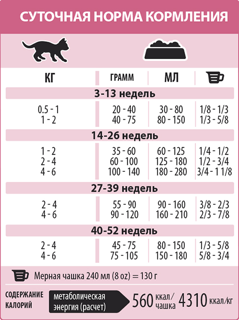 Как правильно кормить кота из шприца - oozoo.ru