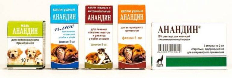 Анандин: ветпрепарат для кошек и собак