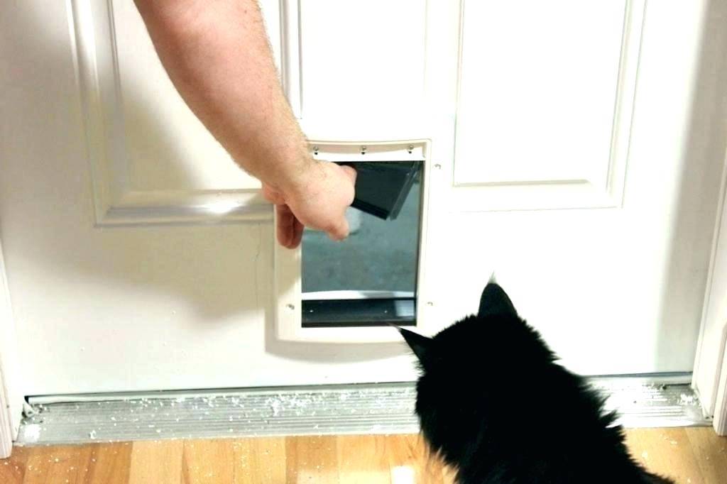Дверца для кошки