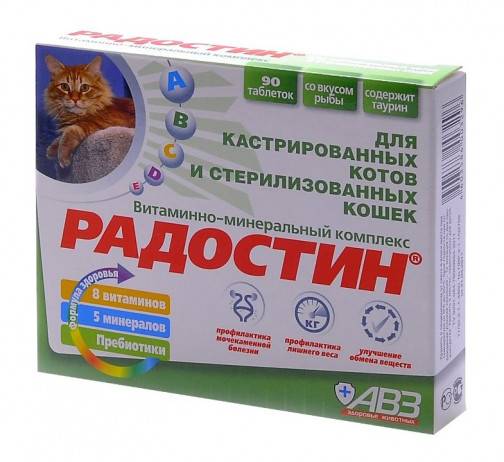 Как и чем лучше кормить кастрированного кота: советы ветеринаров  - mimer.ru