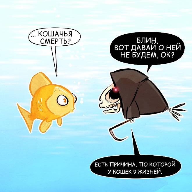 Сколько жизней у кошки – 9 или 7, правда ли это, почему так говорят?
