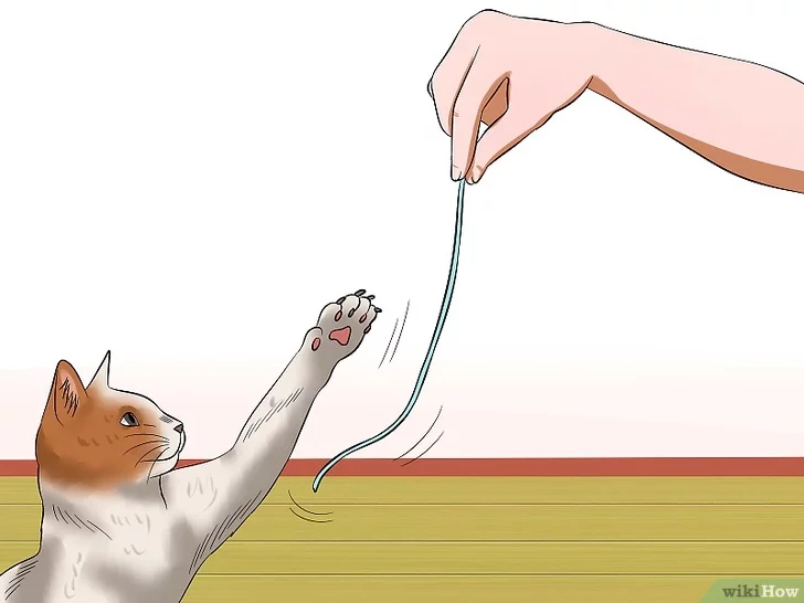 Как рисовать животных: кошки и их анатомия