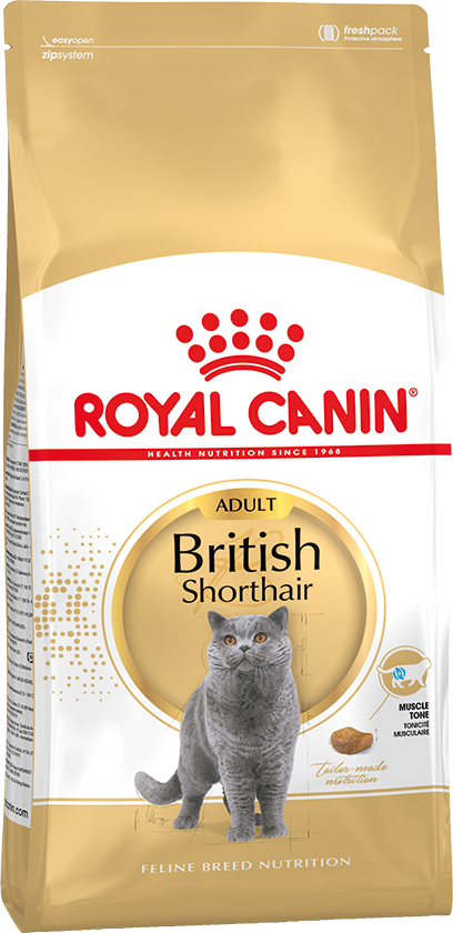 Корм для кастрированных котов — британцев: правильное питание. как правильно организовать кормление кастрированного кота