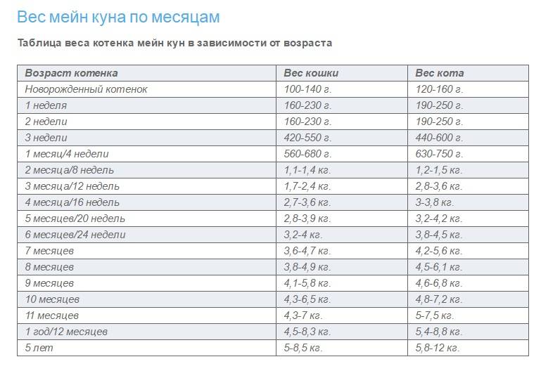 ᐉ сколько весит кошка и кот: таблица по возрасту, нормальный вес взрослой кошки - kcc-zoo.ru