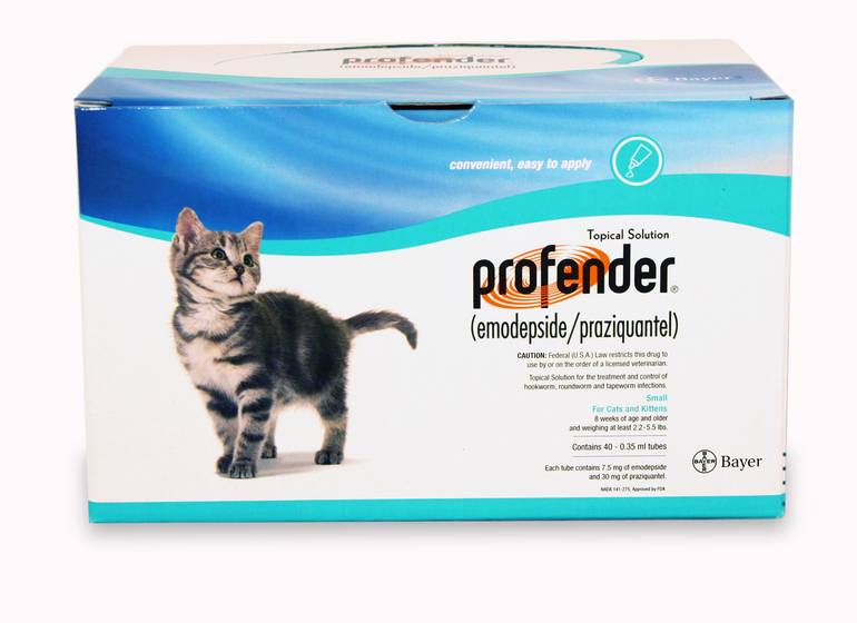 Профендер для кошек, инструкция по применению для лечения от глистов котят и взрослых животных