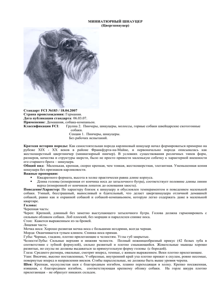 Стандарт породы цвергшнауцер