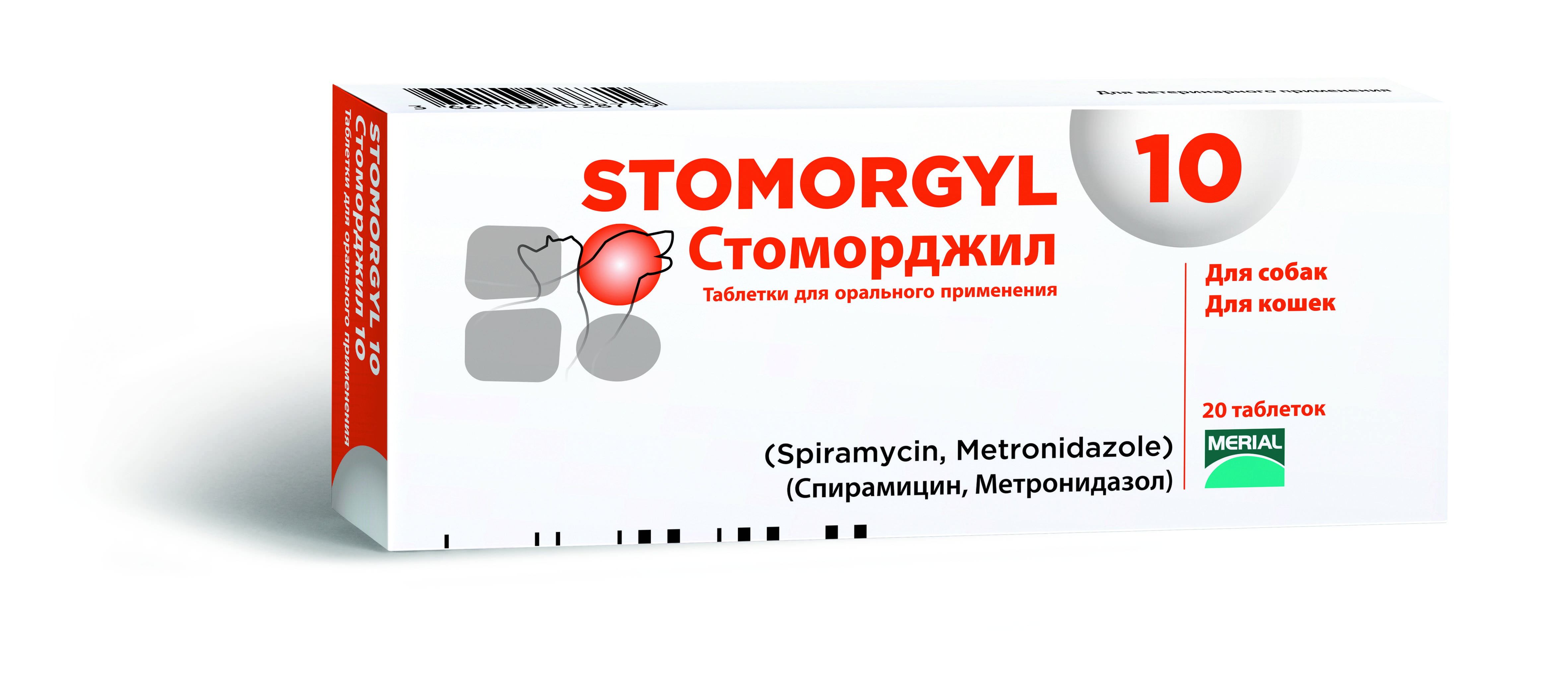 Стоморджил для кошек: инструкция по применению, аналоги, отзывы