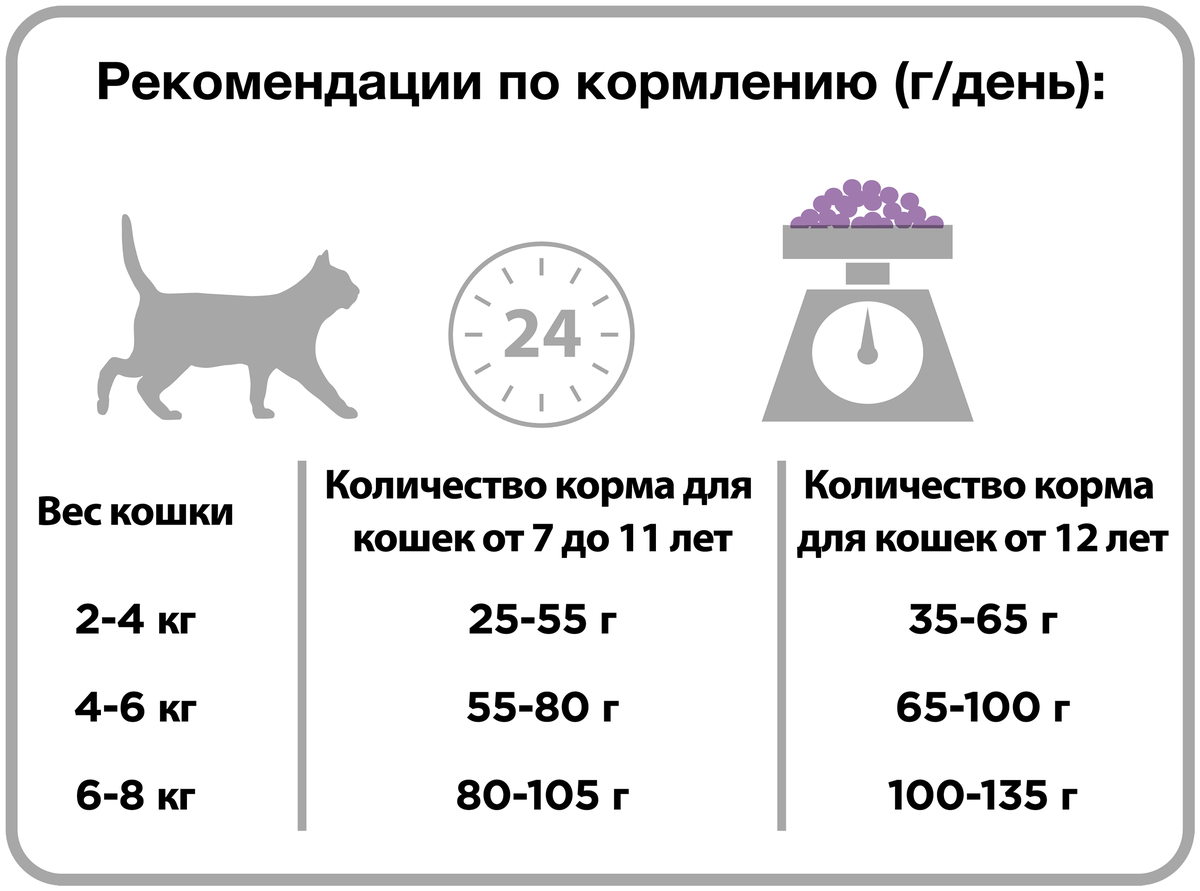 Как правильно кормить кошку кормами. Сколько сухого корма котенку 2 месяца. Расписание кормления кота. Схема кормления кошек по возрасту. Правильный график кормления кошки.