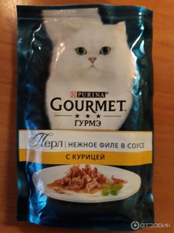 ᐉ обзор корма для кошек gourmet - ➡ motildazoo.ru