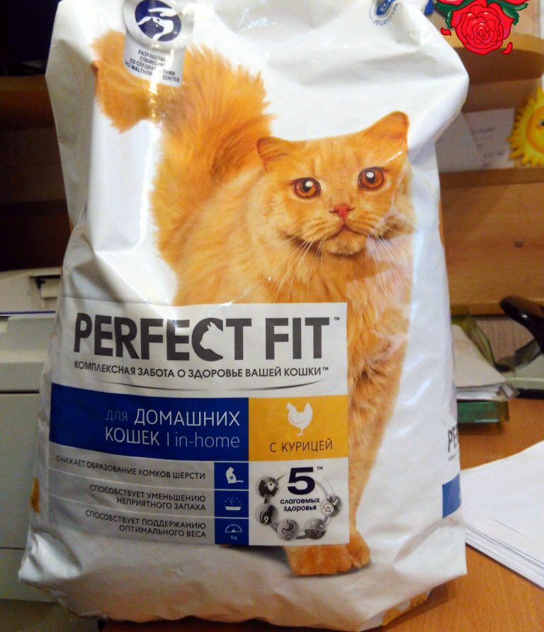 ᐉ обзор корма для кошек perfect fit - ➡ motildazoo.ru