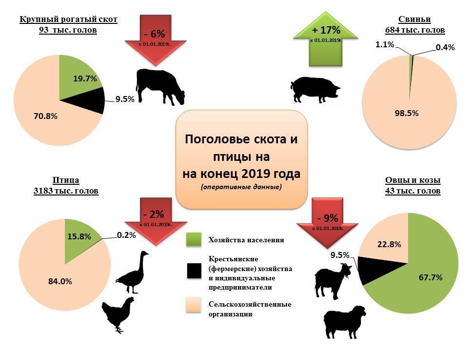 Налог на домашних животных в россии 2020: будет или нет, как будут взыскивать