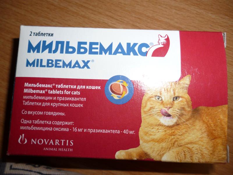 Мильбемакс для кошек - как правильно давать