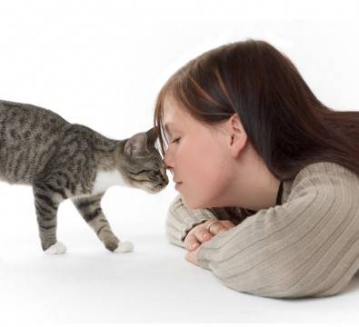 Можно ли целовать домашних кошек