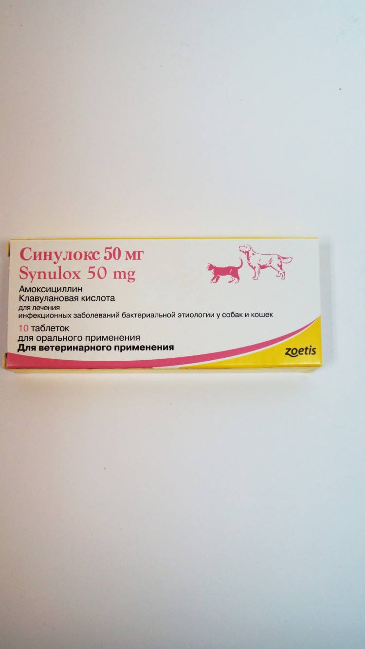 Инструкция по применению таблеток синулокса у кошек. рассчитайте оптимальную дозу этого антибиотика. изучите широту антибактериального эффекта синулокса для кошек. улучшите эффективность терапии на 200%