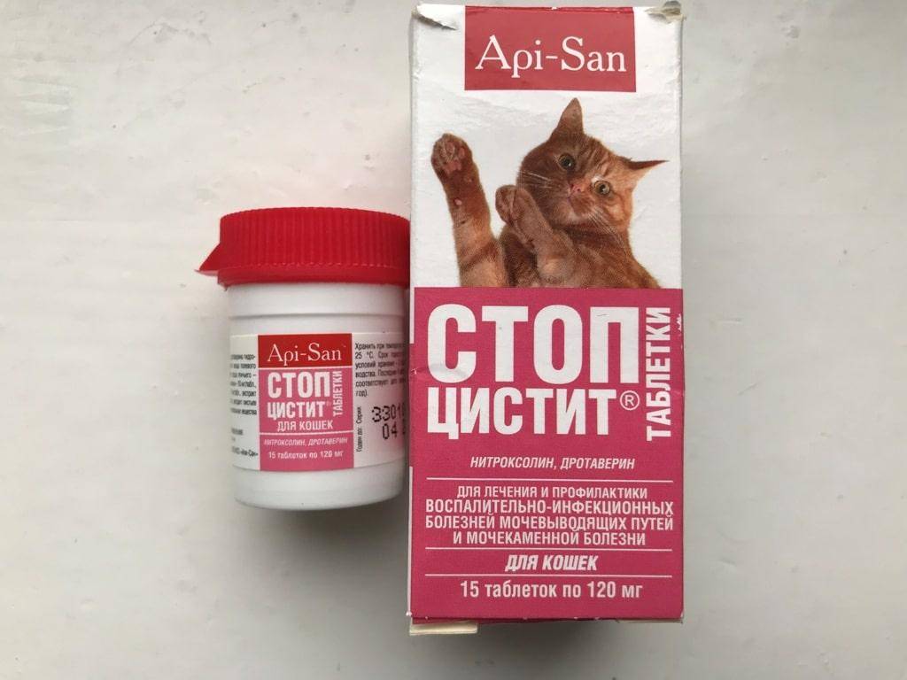 Цистон для кошек, инструкция по применению: дозировка для котят и взрослых котов, схема лечения