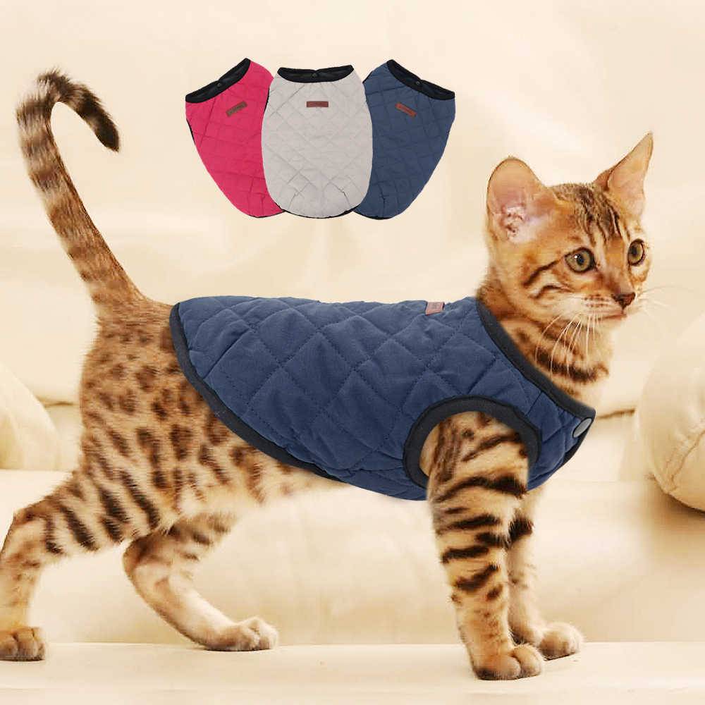 Одежда для кошек своими руками: выкройки и пошаговая инструкция