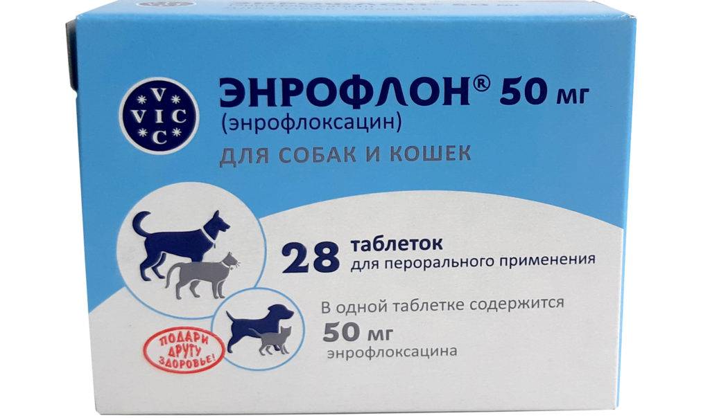 Энрофлоксацин в ветеринарии: инструкция по применению