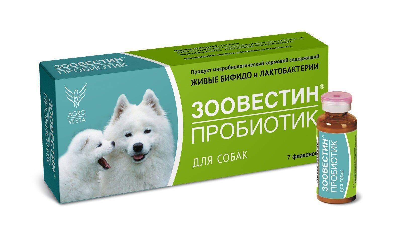Дисбактериоз у собаки: причины, симптомы, лечение, осложнения | блог ветклиники "беланта"