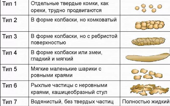 Нарушилось пищеварение стул кашей что пить