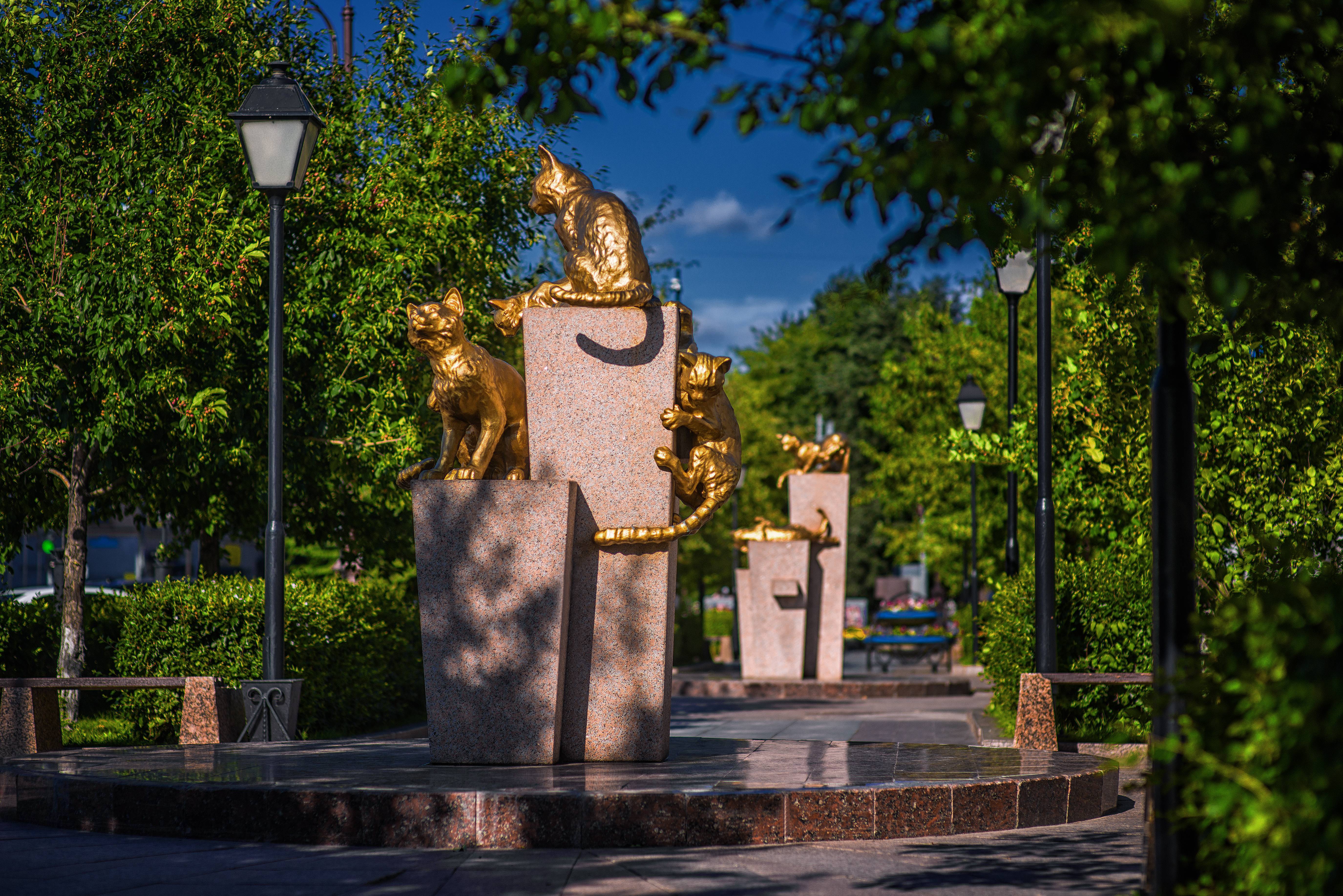 Сибирский тюмень. Сквер сибирских кошек Тюмень. Памятник сквер сибирских кошек Тюмень. Аллея сибирских кошек в Тюмени. Экскурсия сквер сибирских кошек Тюмень.