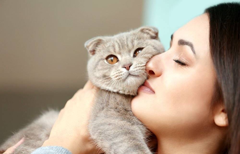 Как кошки выражают свою любовь к хозяевам?