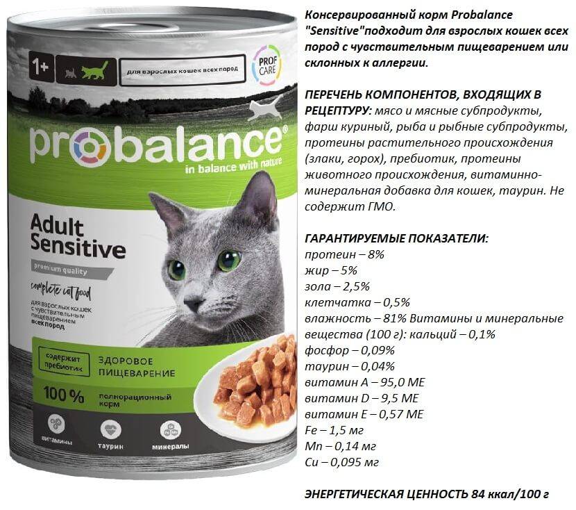 Probalance («пробаланс»): отзывы ветеринаров и владельцев животных о корме для кошек, его состав и виды, плюсы и минусы