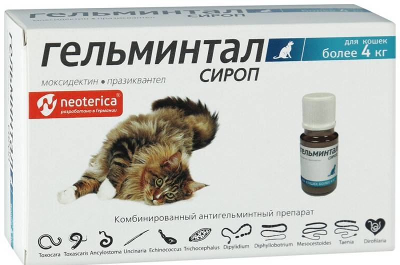 Обзор глистогонных средств для кошки: применение антигельминтных препаратов