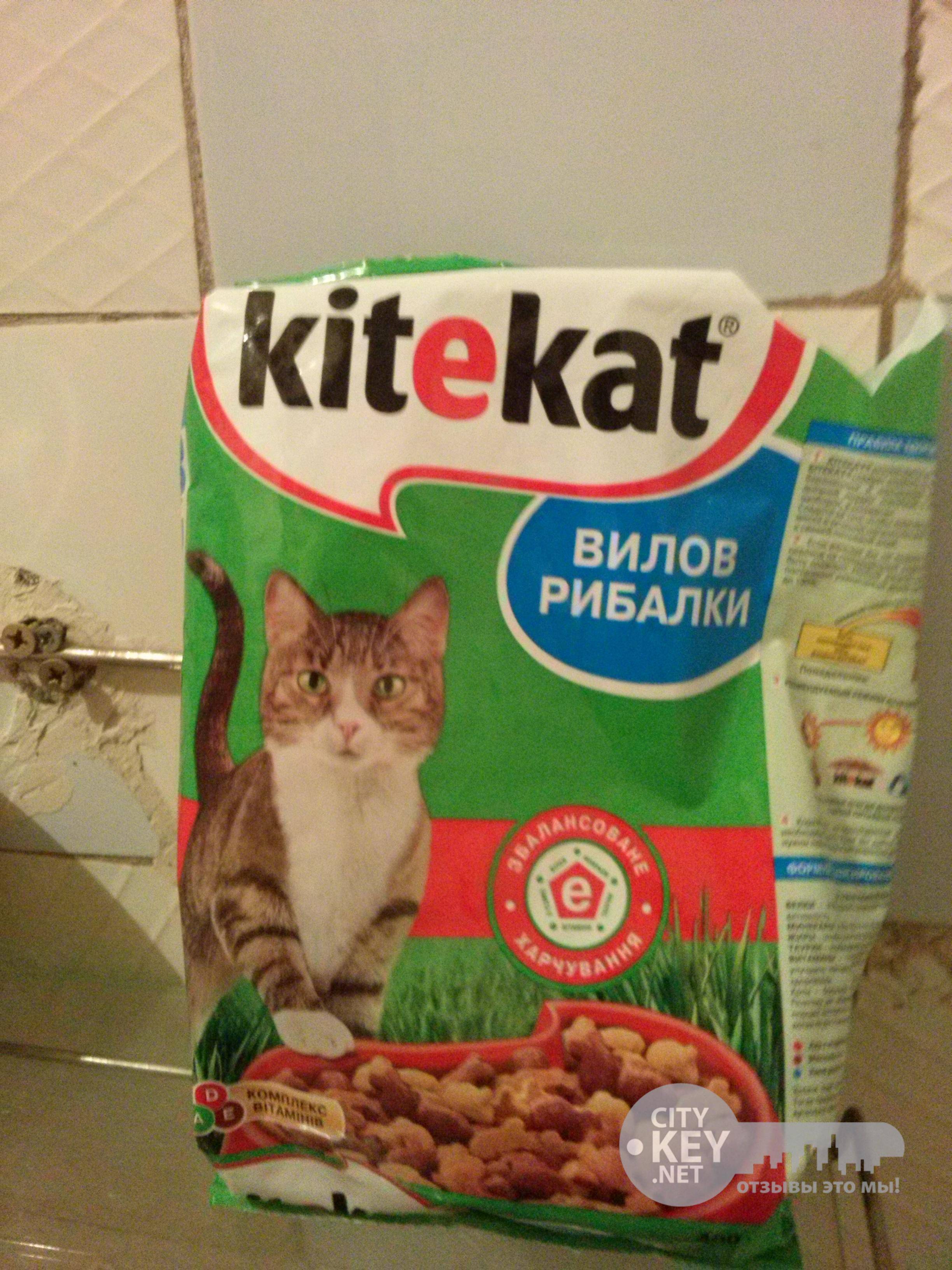 Топ 100 тем  топ 100 участников  форум  кормление кошек