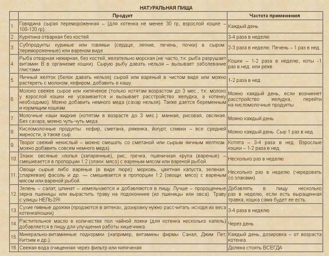 Можно ли кошкам рыбу с костями: острые и опасные.