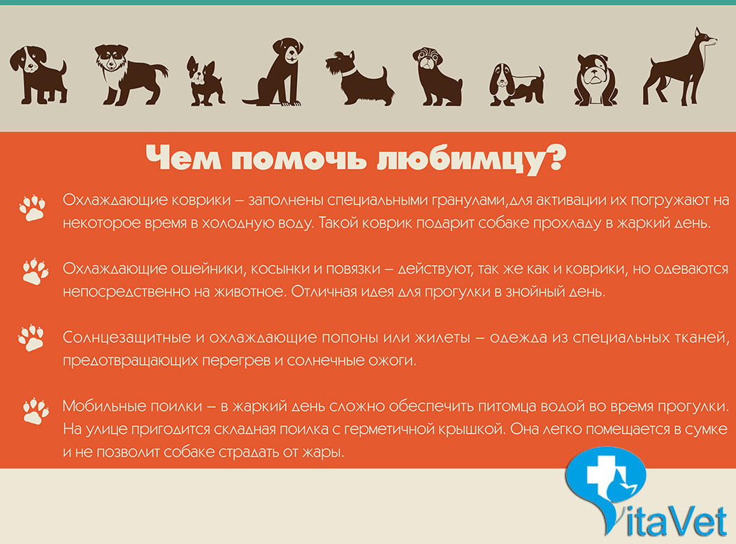 Стихи про июнь - короткие, красивые, развивающие для детей