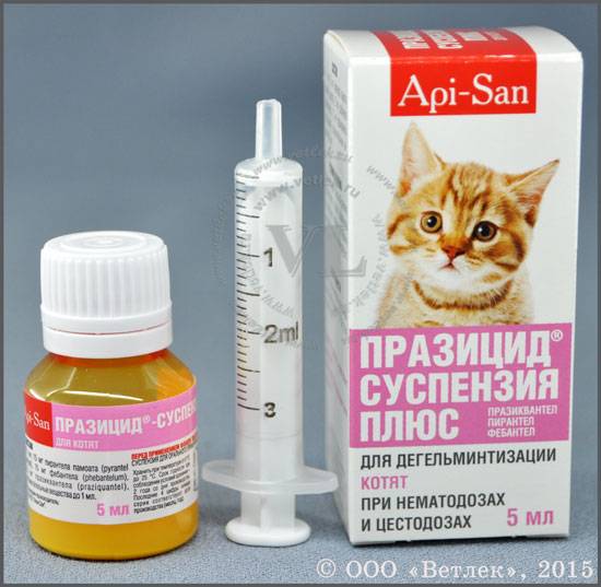 Празицид для кошек: суспензия и таблетки