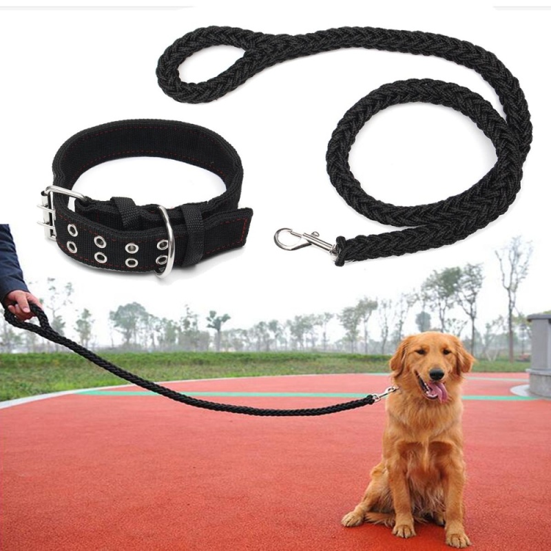 Какая цепь лучше для собак