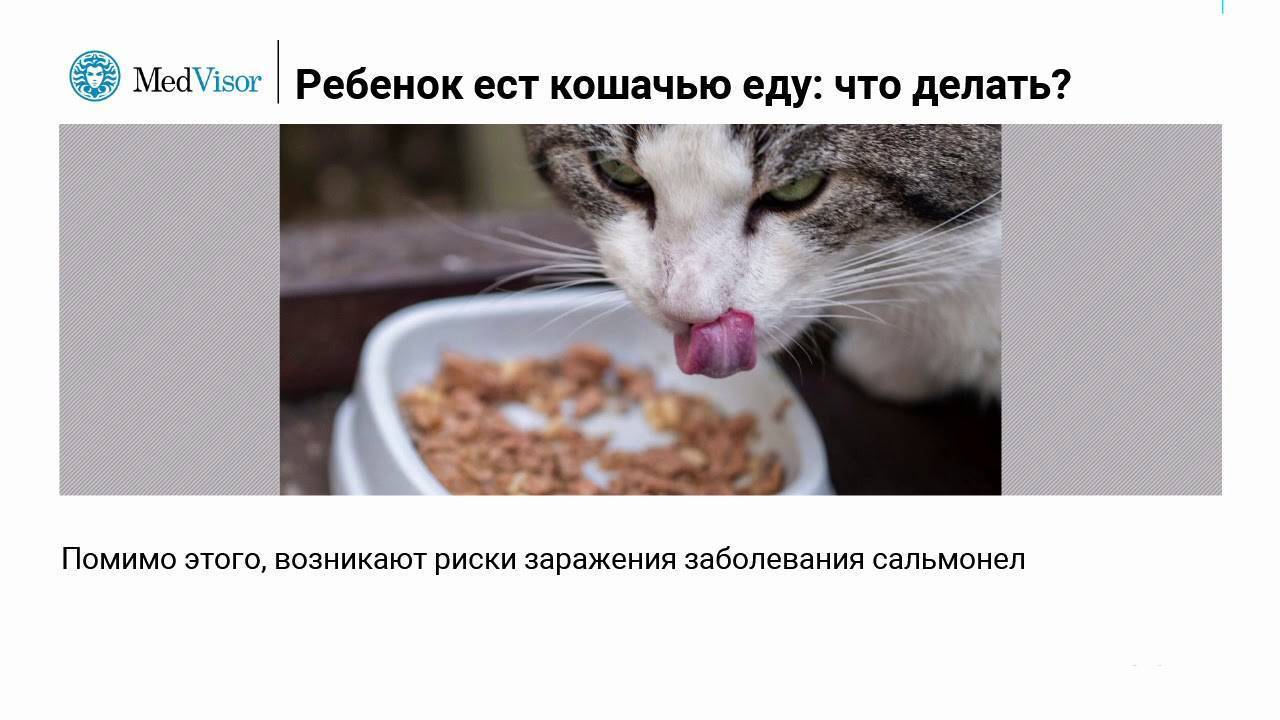 Что делать, если кот съел пакет?