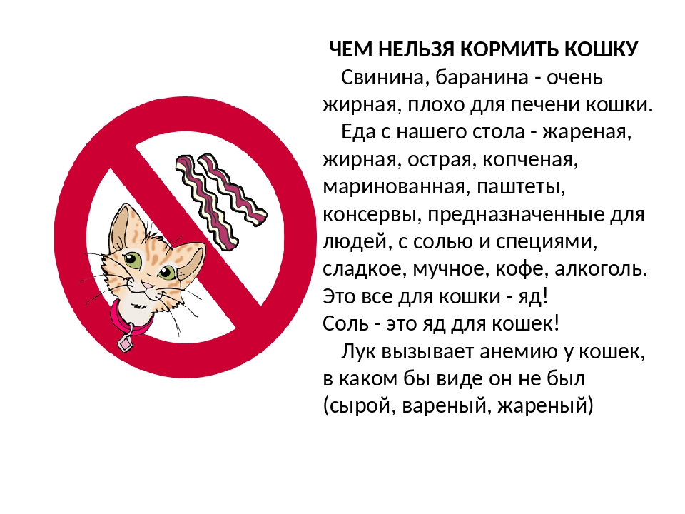 ᐉ можно ли кошкам рыбу? - ➡ motildazoo.ru