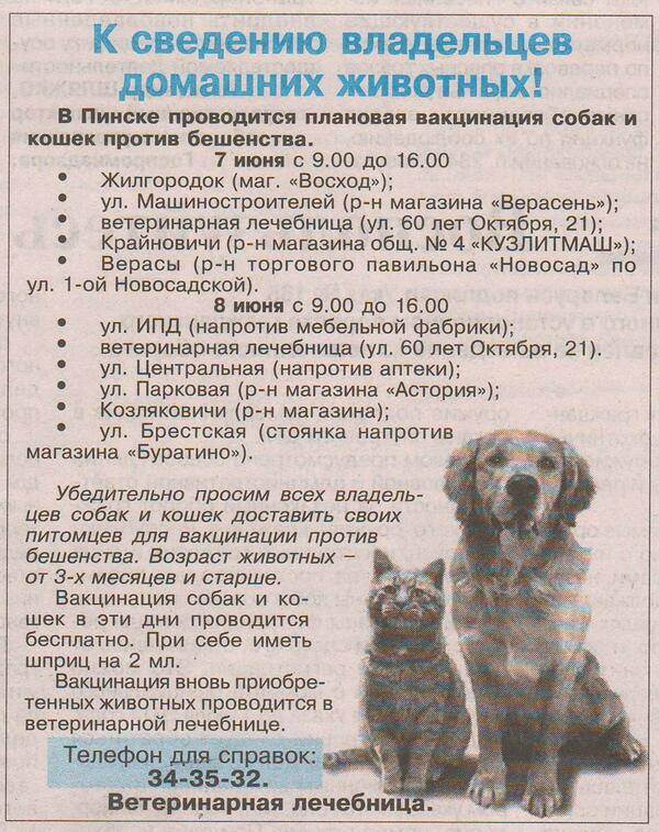 Вакцинация домашних животных в москве - цена от 500 р в ветклиниках «свой доктор»