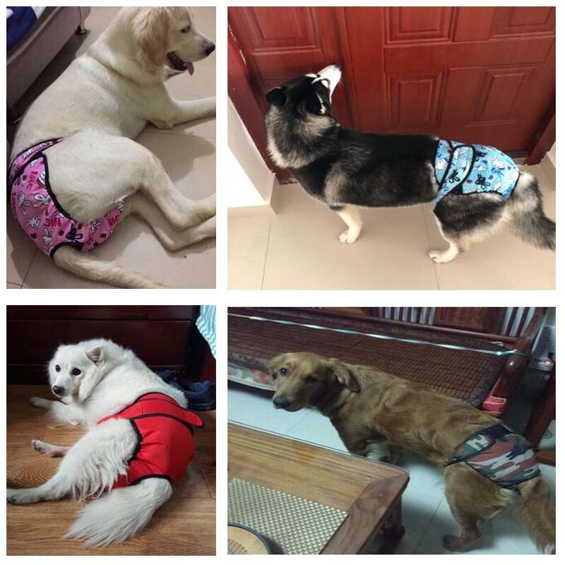 Подгузники для собак: разновидности, назначение и правильный выбор размера